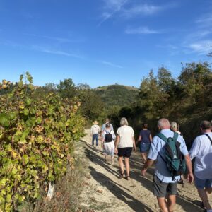 Vinrejse i verdensklasse til Barolo m.v. | 5. oktober - 10. oktober 2026